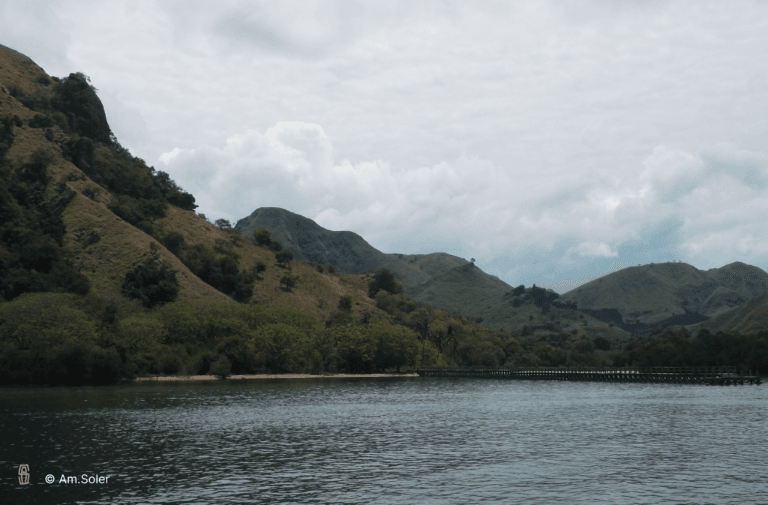 Collines de Rinca et végétation tropicale aride
