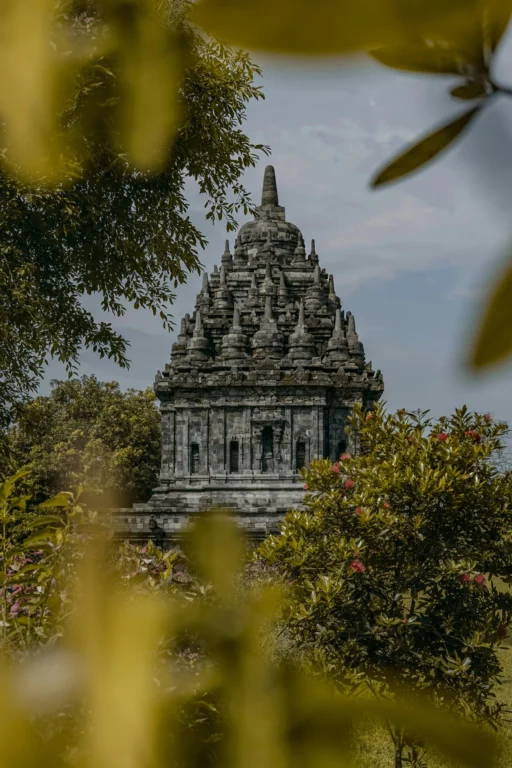 Accueil blog Indonésie: Les temples de Java.