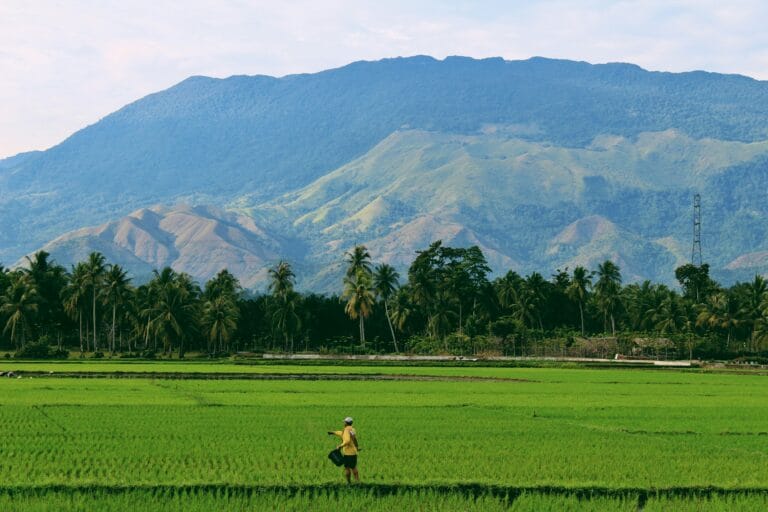 Blog indonesie: entre paysages et tradition