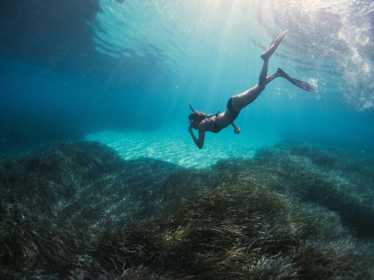 snorkeling au parc national de komodo