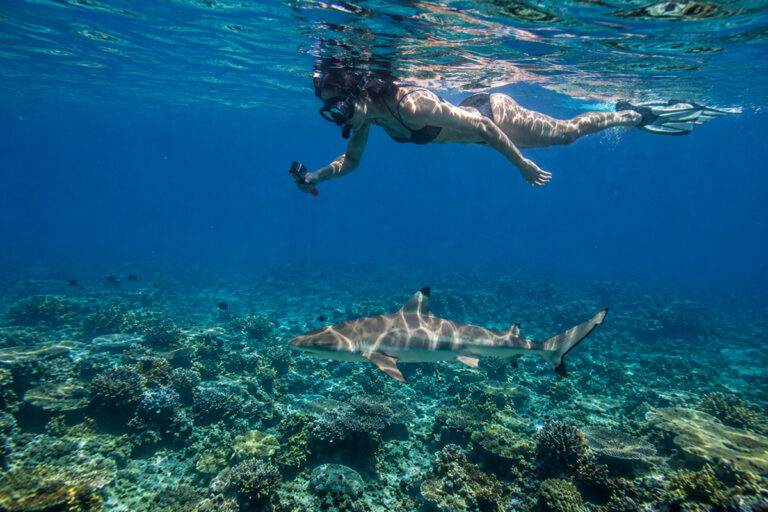 Snorkeling et découverte des fonds marins du parc national de Komodo