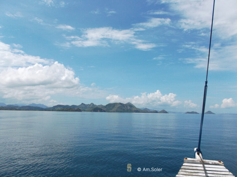 Parc national de komodo vue depuis un bateau