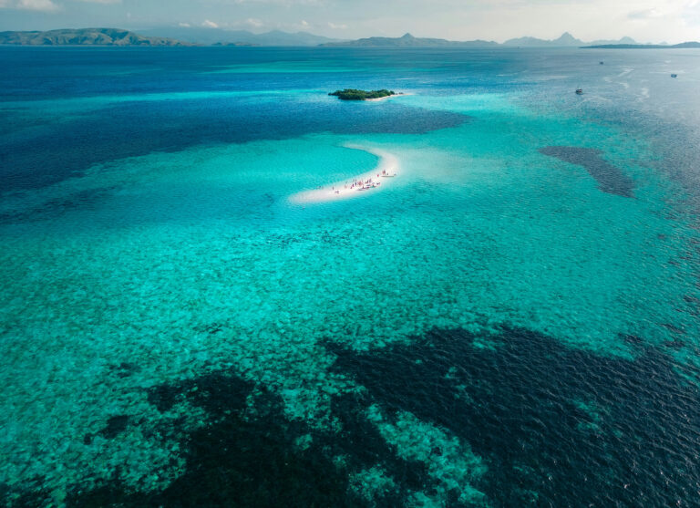 Mangroves, lagons et biodiversité marine