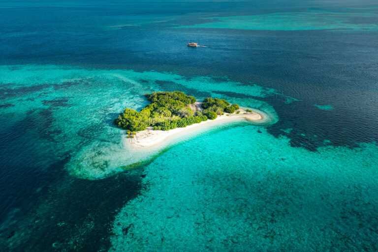 Mangroves, lagons et biodiversité marine