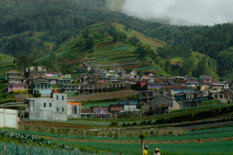 village de Dusun Butuh, un hameau de Desa Temanggung