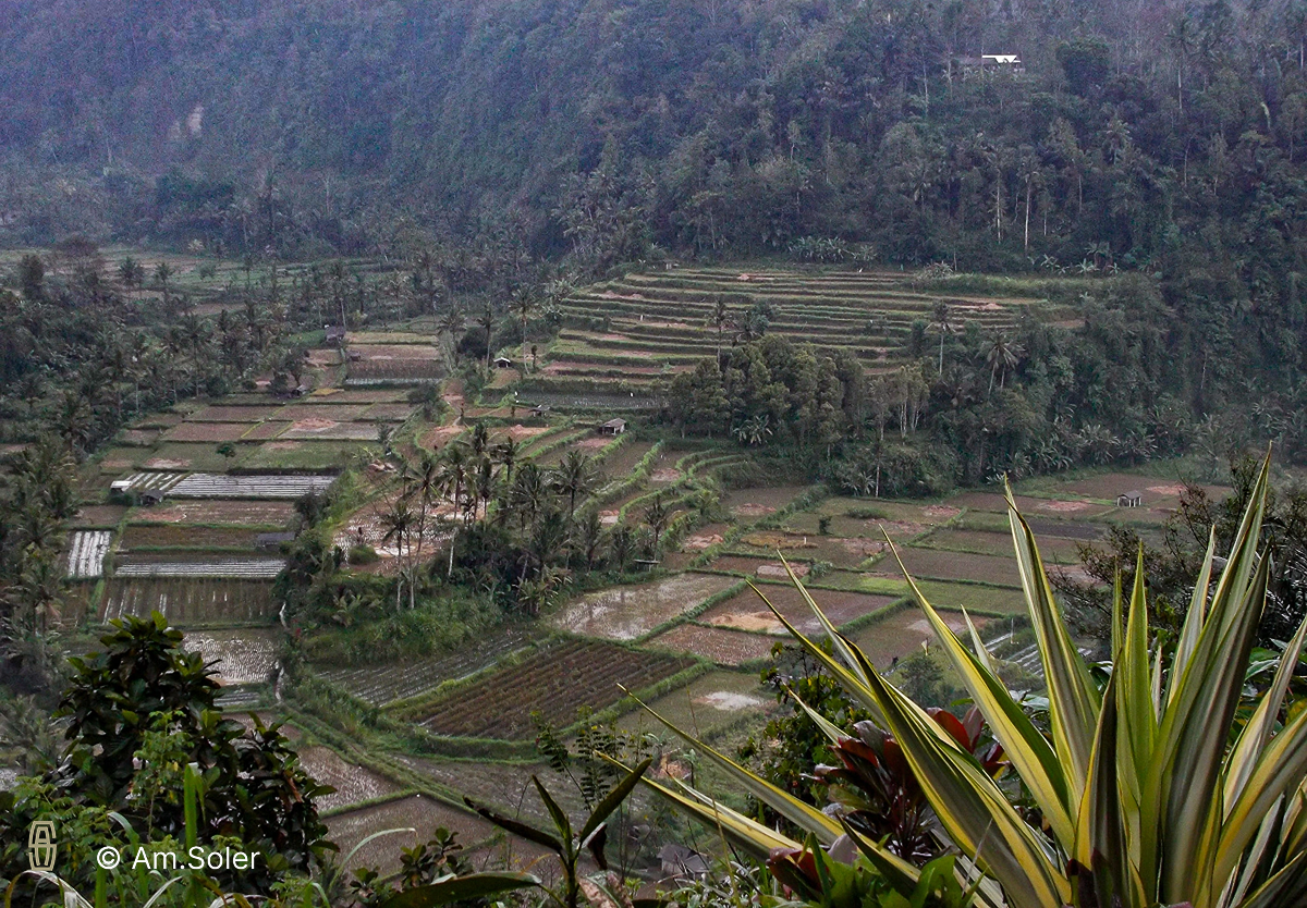 Sidemen, la vallée au pied du Mont Agung. Sidemen, the valley at the foot of Mount Agung.