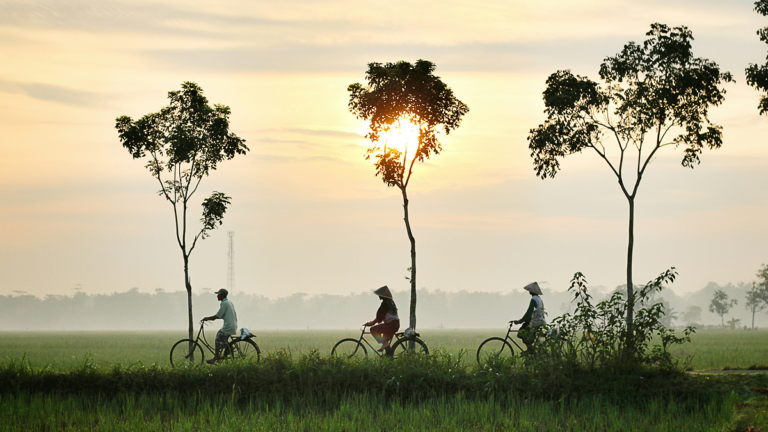 Indonesie paysages et traditions. Indonesia landscapes and traditions.
