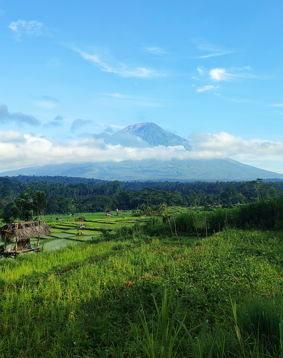 Le Mont Agung et les rizières de Bali : paysages agricoles au pied du volcan. Mount Agung and the rice fields of Bali: agricultural landscapes at the foot of the volcano.