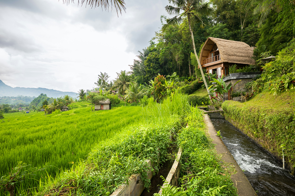 Le Mont Agung : de la montagne à la rizière, le chemin de l'eau. Mount Agung: from the mountain to the rice field, the water’s journey.
